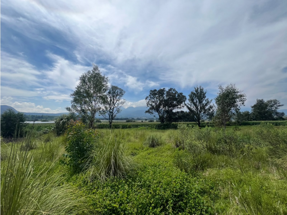 Terreno grande en venta sobre Carretera Pátzcuaro-Morelia - 4