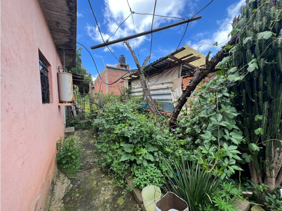 Casa para remodelar con amplio jardin en el centro de Pátzcuaro - 2