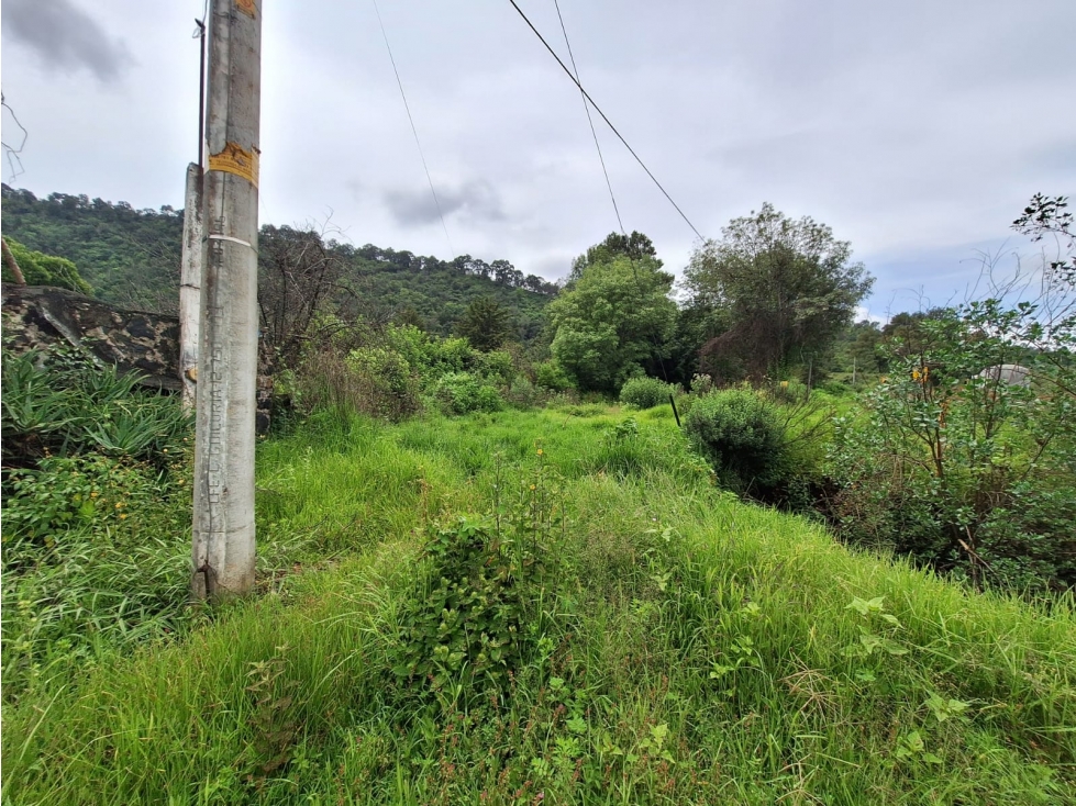 Terreno en venta sobre Carretera Santa Ana Patzcuaro - 6