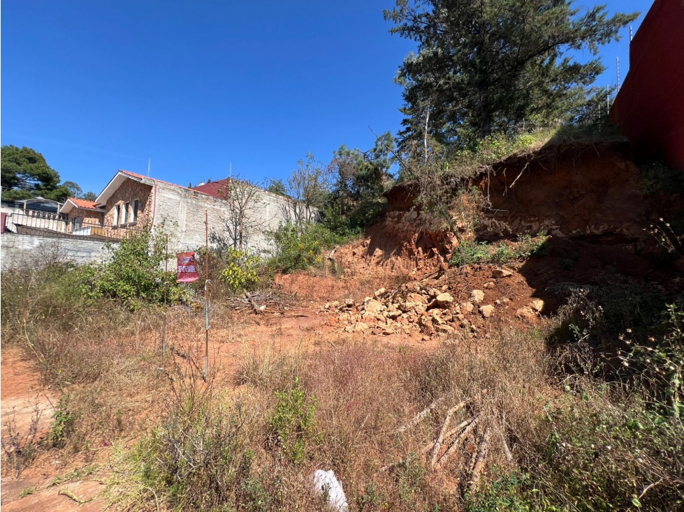 Terreno en Venta Rincon Los Nogales Patzcuaro - 3