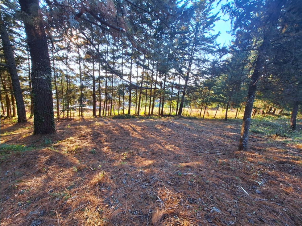 Terreno en venta en Bosques De Pátzcuaro - 4