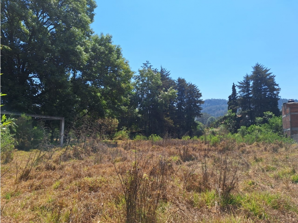 Dos terrenos en venta cerca del lago de Patzcuaro - 4