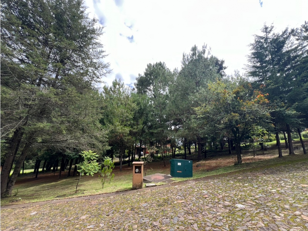 Terreno en Venta Corazon de Durazno Pátzcuaro - 5