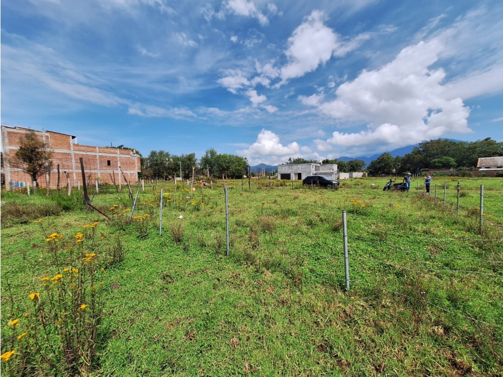 Dos terrenos rusticos en venta en Quiroga - 4