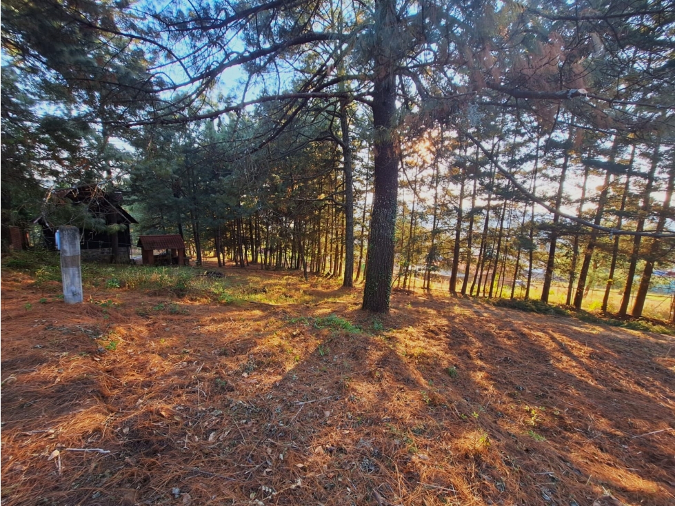 Terreno en venta en Bosques De Pátzcuaro - 5