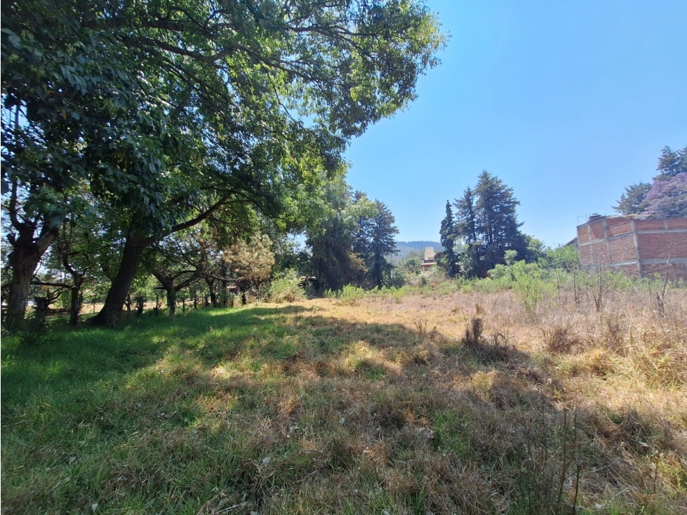 Dos terrenos en venta cerca del lago de Patzcuaro - 5
