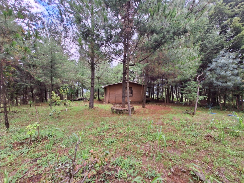 Cabaña con amplio terreno en Venta Pátzcuaro - 2