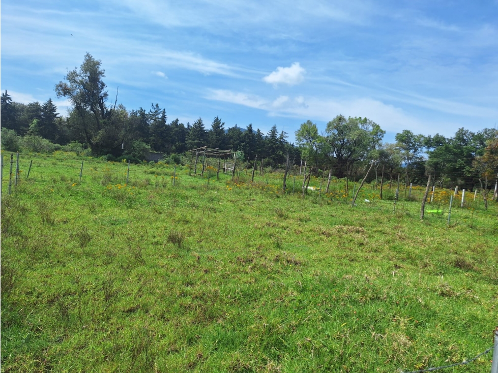 Dos terrenos rusticos en venta en Quiroga - 5