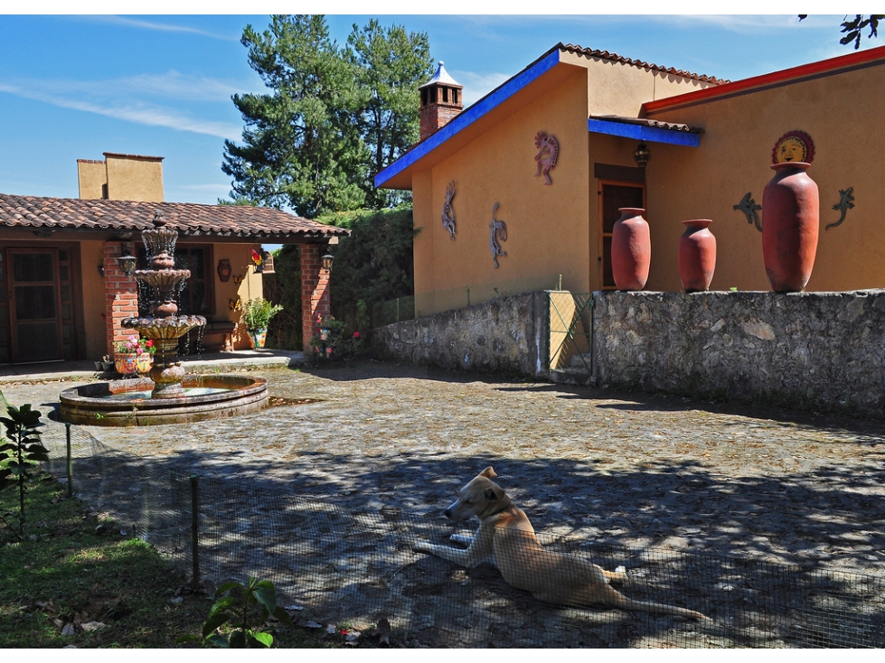 Dos Casas Campestres con vista al Lago de Zirahuen - 4