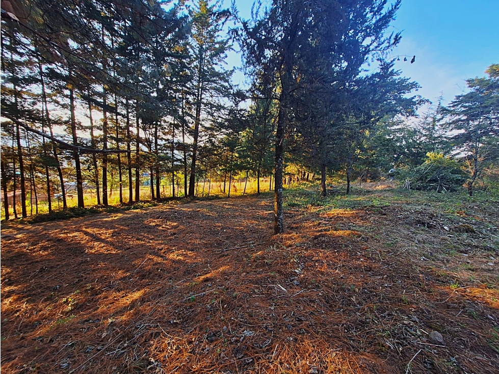 Terreno en venta en Bosques De Pátzcuaro - 6