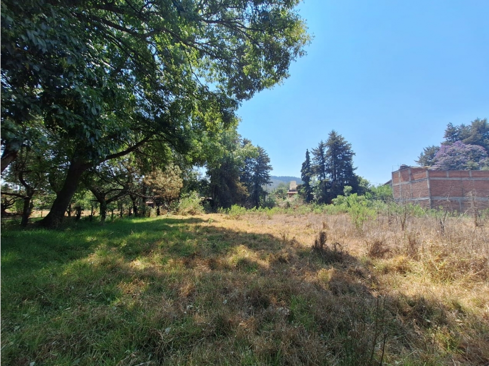 Dos terrenos en venta cerca del lago de Patzcuaro - 6