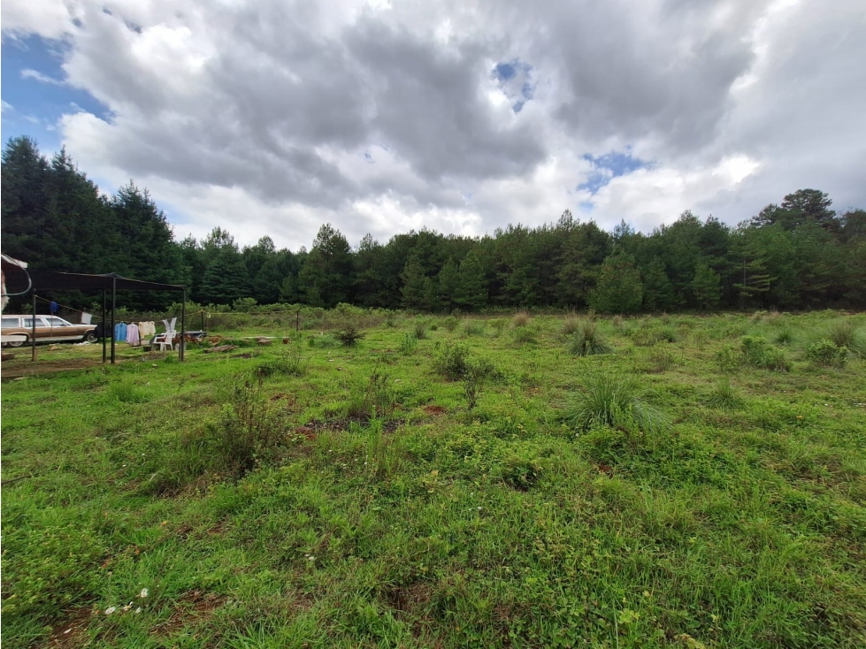 Terreno en venta en Fracc Vitela Pátzcuaro