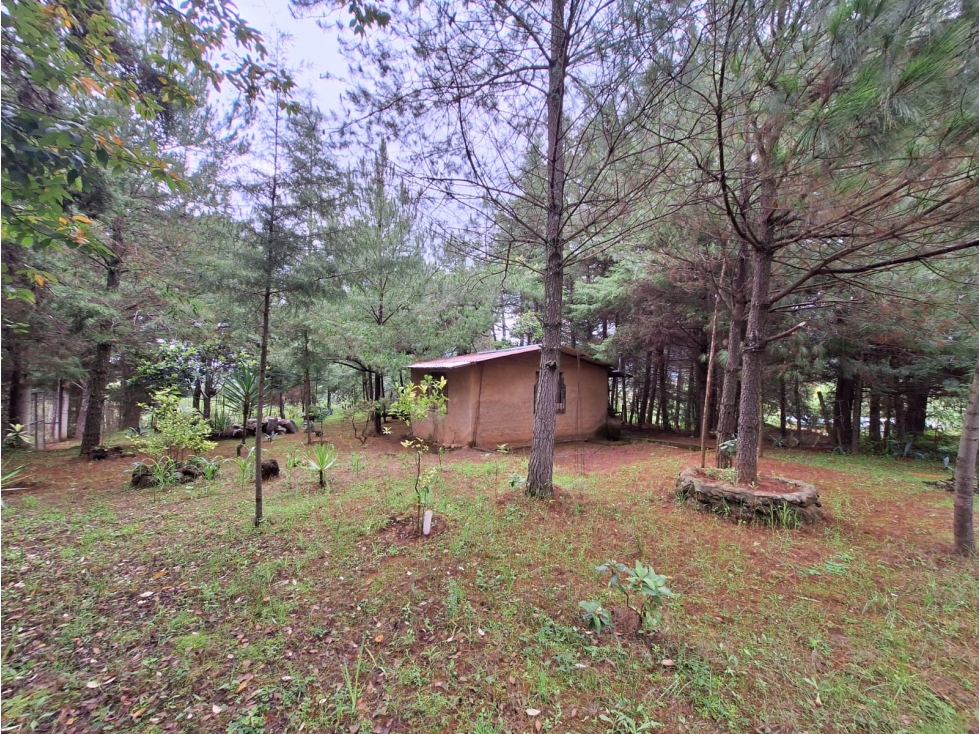 Cabaña con amplio terreno en Venta Pátzcuaro - 6