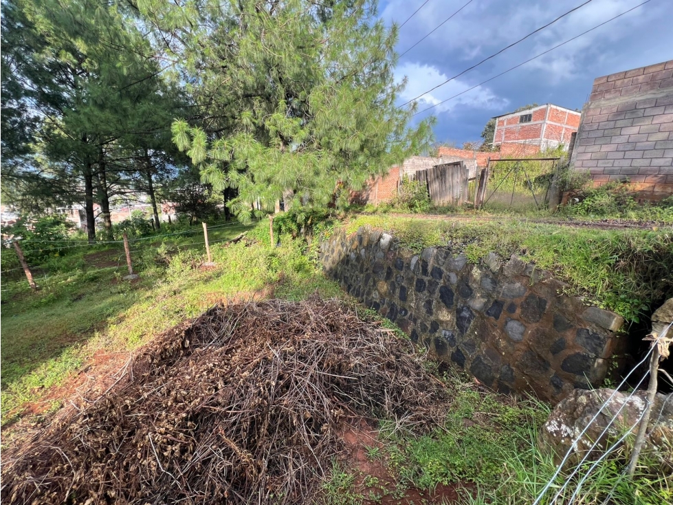 Terreno amplio en venta en el Zitunero Pátzcuaro - 6