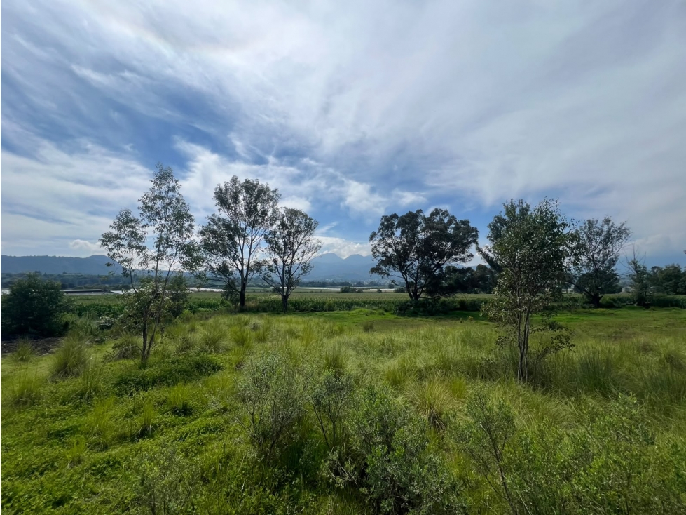 Terreno grande en venta sobre Carretera Pátzcuaro-Morelia - 5