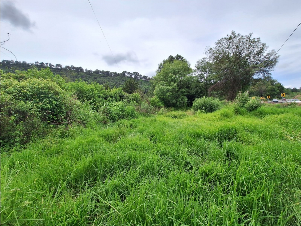 Terreno en venta sobre Carretera Santa Ana Patzcuaro - 2