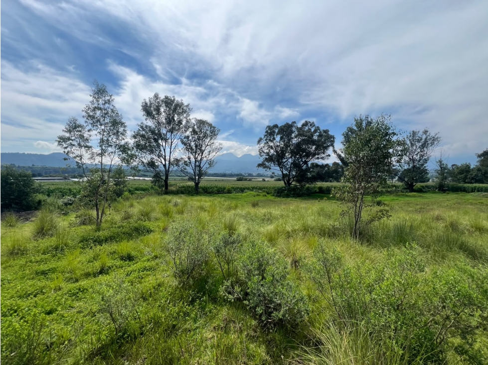 Terreno grande en venta sobre Carretera Pátzcuaro-Morelia - 6