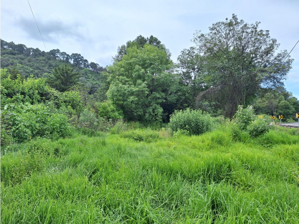 Terreno en venta sobre Carretera Santa Ana Patzcuaro - 1