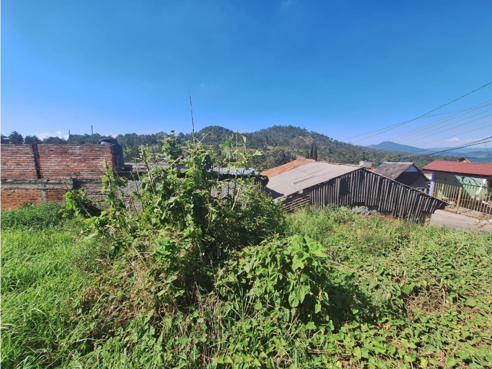 Terreno en venta El Cristo Pátzcuaro - 5