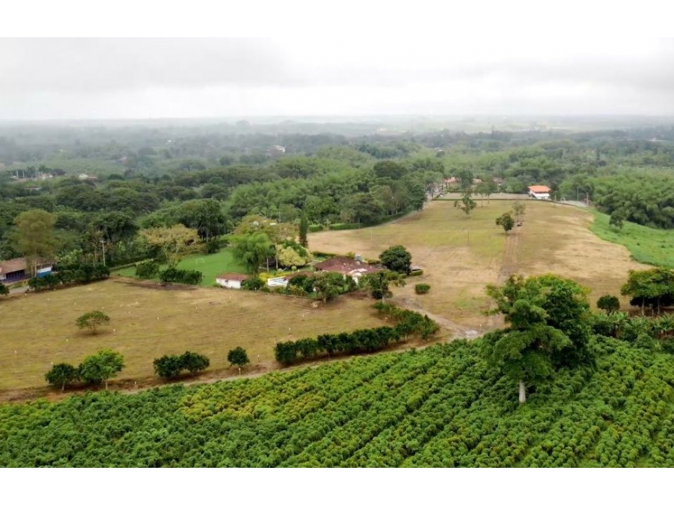 SE VENDEN LOTES DESDE 2500M2 CERCA AL PARQUE DEL CAFE — foto 6