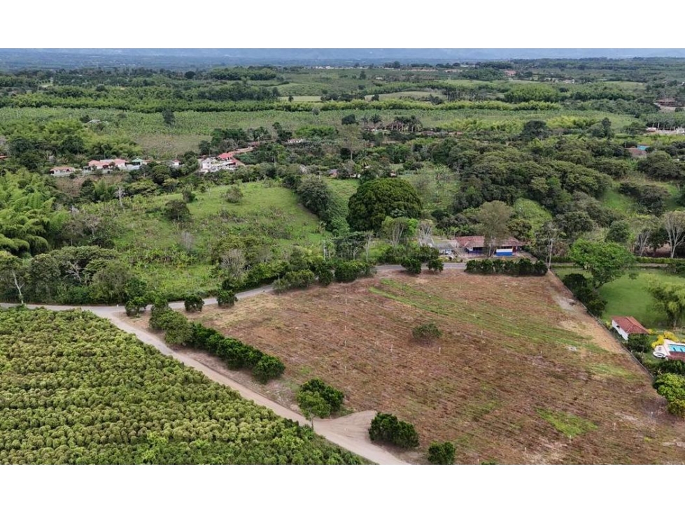 SE VENDEN LOTES DESDE 2500M2 CERCA AL PARQUE DEL CAFE — foto 2