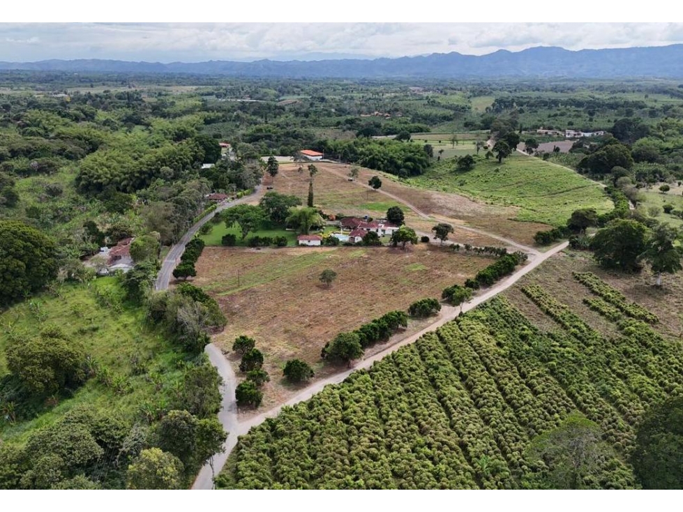 SE VENDEN LOTES DESDE 2500M2 CERCA AL PARQUE DEL CAFE — foto 5