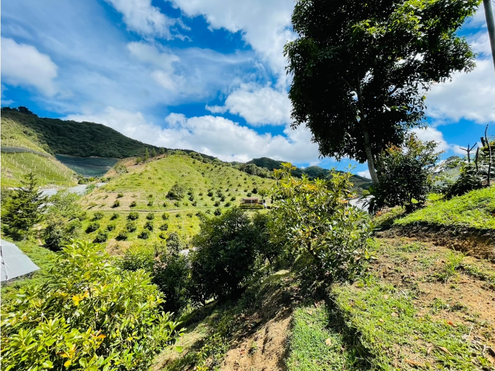 OPORTUNIDAD VENDO FINCA EN LA CEJA ANT- UBICADA EN EL SECTOR FATIMA — foto 6