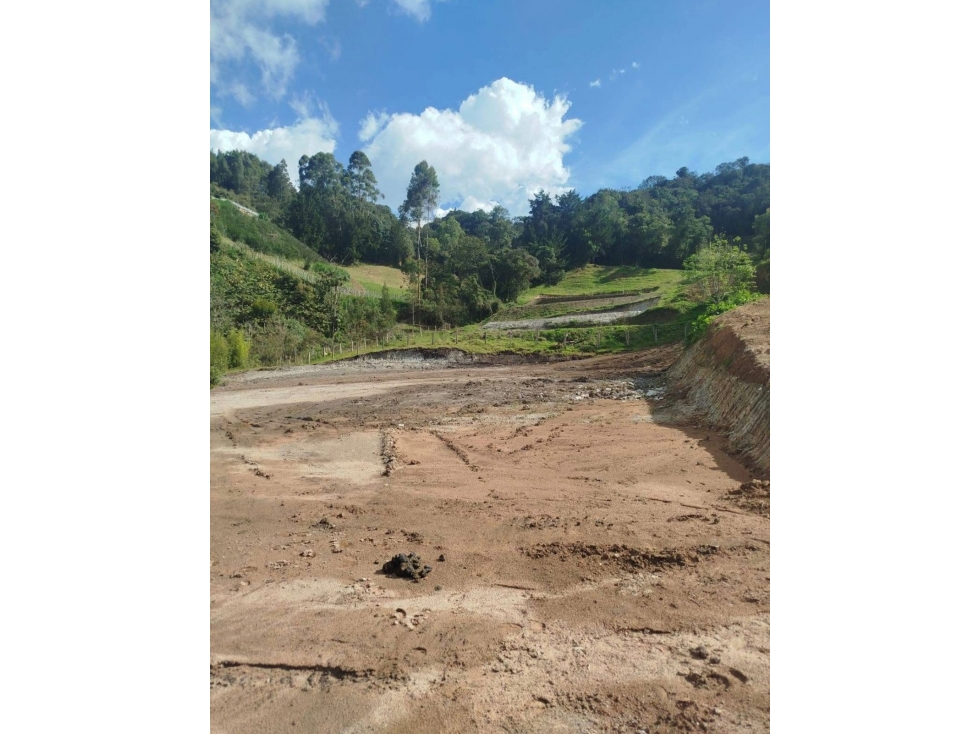 VENDO LOTE CAMPESTRE - LA CEJA ANTIOQUIA