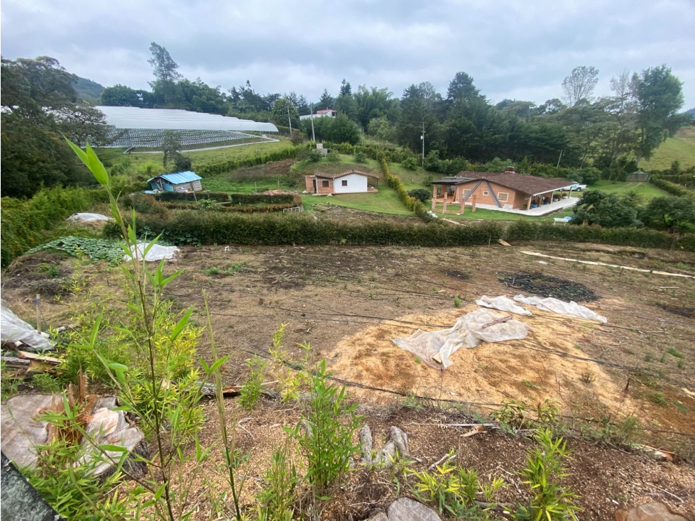 VENDO LOTE SEMI PLANO A 7 MINUTOS DE LA CEJA- 750 MILLONES - 6