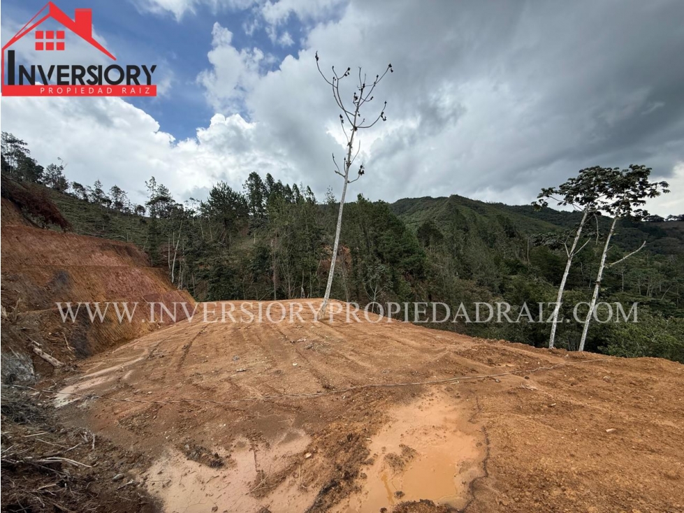 VENDO LOTE SEMI-URBANO EN LA CEJA ANT- SALIDA HACIA EL RETIRO — foto 4