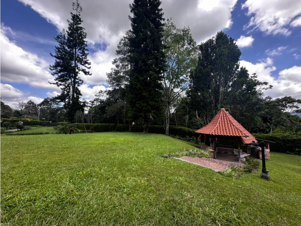 VENDO FINCA SEMI URBANA - LA CEJA ANTIOQUIA — foto 4
