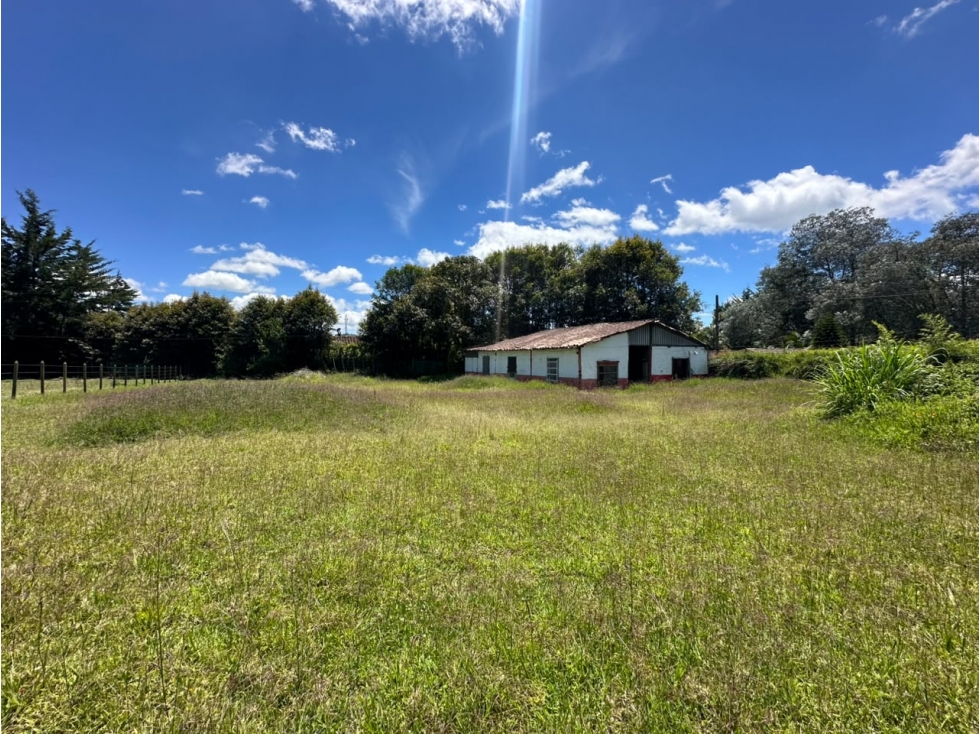 VENDO LOTE CON CASA SEMI URBANO - LA CEJA ANTIOQUIA — foto 2