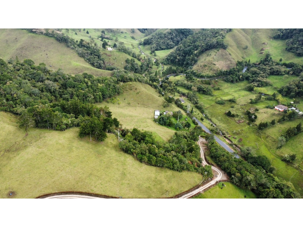VENDO FINCA EN LA CEJA-TRAYECTO LA CEJA-ABEJORRAL — foto 2