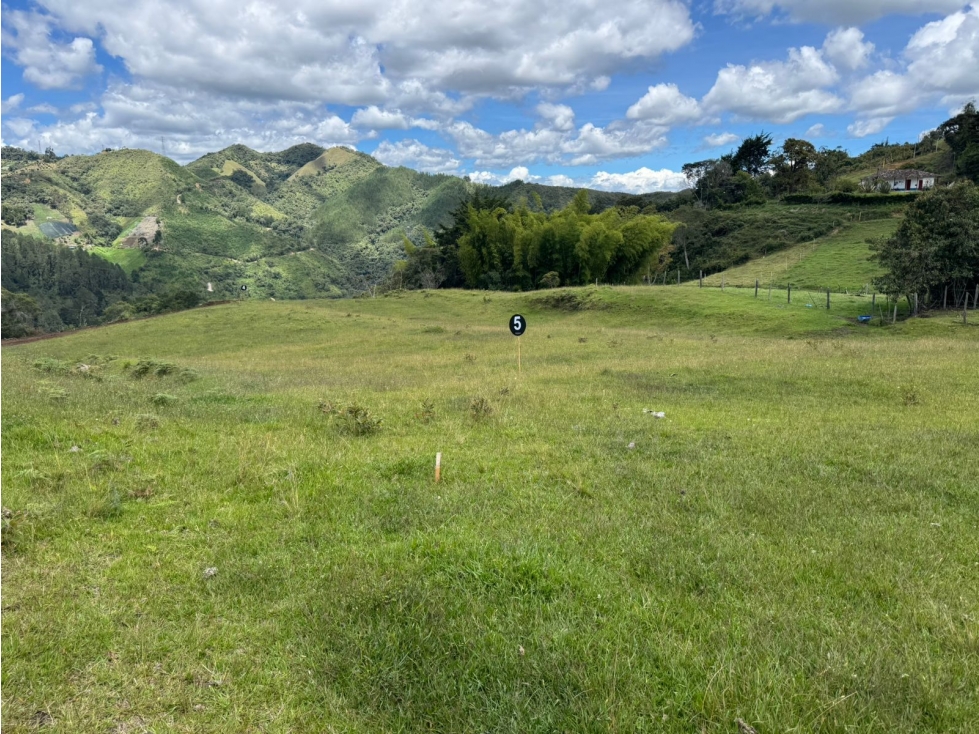 VENDO LOTES CAMPESTRES EN LA CEJA ANT DESDE 240 VIA LA CEJA ABEJORRAL