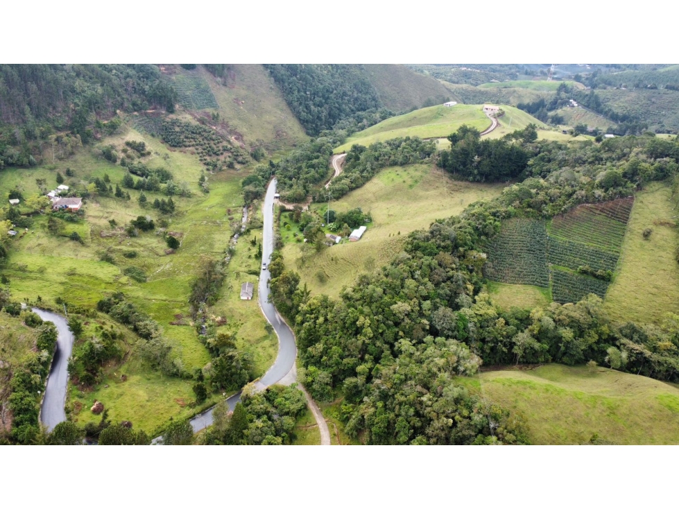 VENDO FINCA EN LA CEJA-TRAYECTO LA CEJA-ABEJORRAL — foto 3