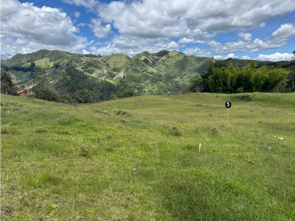 VENDO LOTES CAMPESTRES EN LA CEJA ANT DESDE 240 VIA LA CEJA ABEJORRAL — foto 2