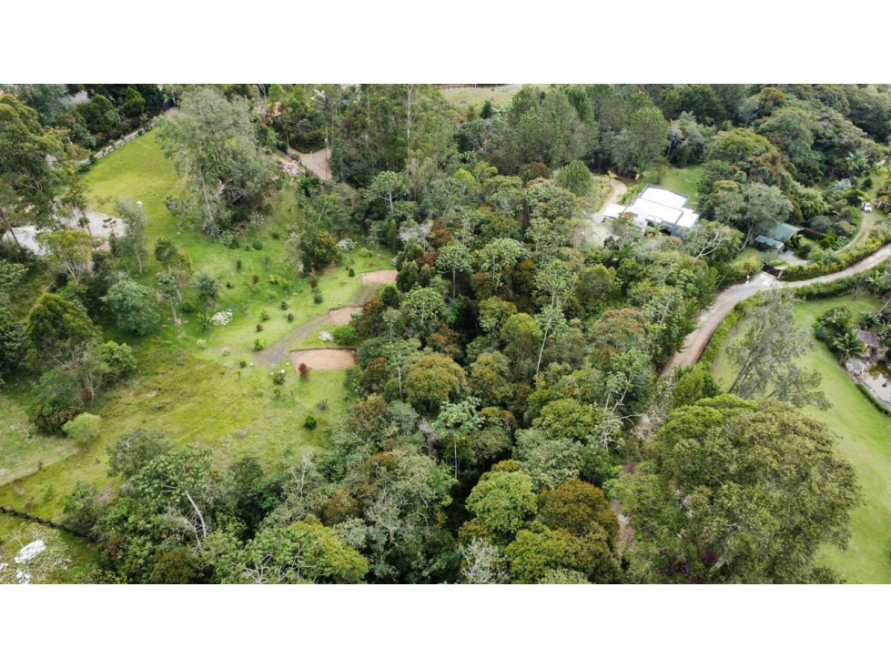 OPORTUNIDAD VENDO LOTE EN PARCELACION CON DOS MATRICULAS EN LA CEJA — foto 3