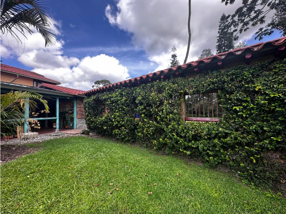 VENDO FINCA SEMI URBANA - LA CEJA ANTIOQUIA — foto 5