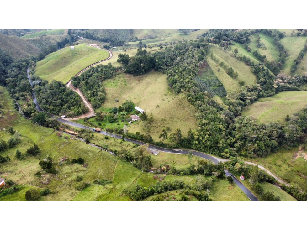 VENDO FINCA EN LA CEJA-TRAYECTO LA CEJA-ABEJORRAL — foto 4
