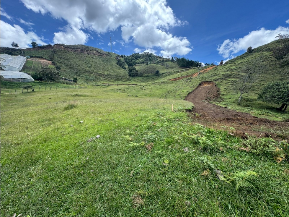 VENDO LOTES CAMPESTRES EN LA CEJA ANT DESDE 240 VIA LA CEJA ABEJORRAL — foto 3