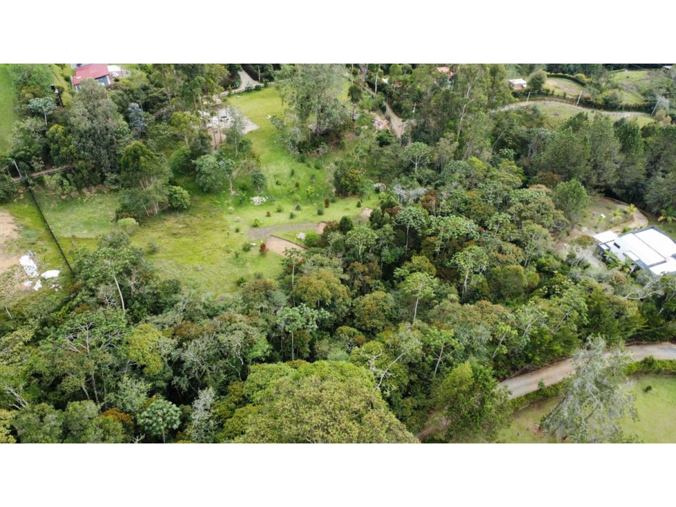OPORTUNIDAD VENDO LOTE EN PARCELACION CON DOS MATRICULAS EN LA CEJA — foto 4