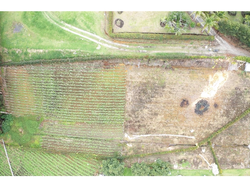 VENDO LOTE SEMI PLANO A 7 MINUTOS DE LA CEJA- 750 MILLONES - 1