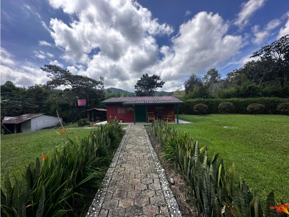 VENDO FINCA SEMI URBANA - LA CEJA ANTIOQUIA — foto 3