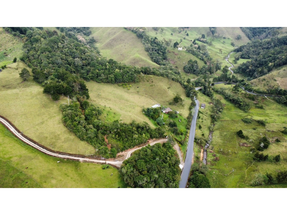 VENDO FINCA EN LA CEJA-TRAYECTO LA CEJA-ABEJORRAL — foto 5
