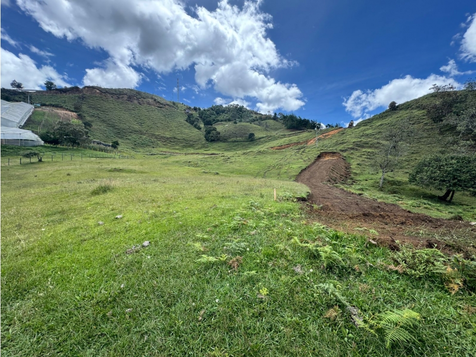 VENDO LOTES CAMPESTRES EN LA CEJA ANT DESDE 240 VIA LA CEJA ABEJORRAL — foto 4