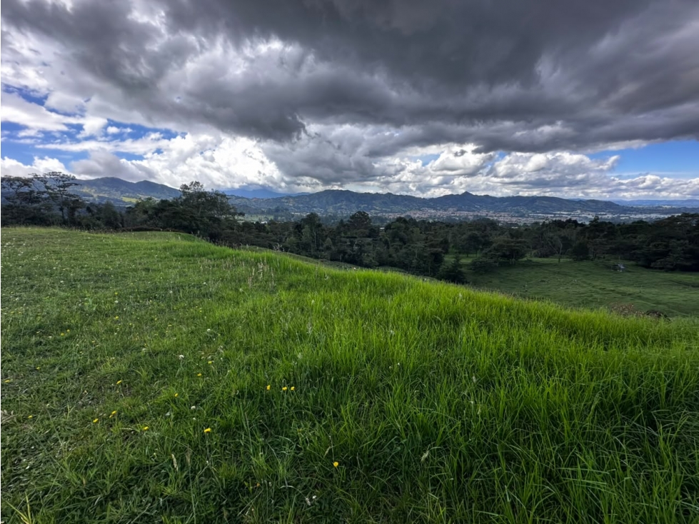 VENDO LOTE EN PARCELACION CERRADA EN LA CEJA-ANT. — foto 5