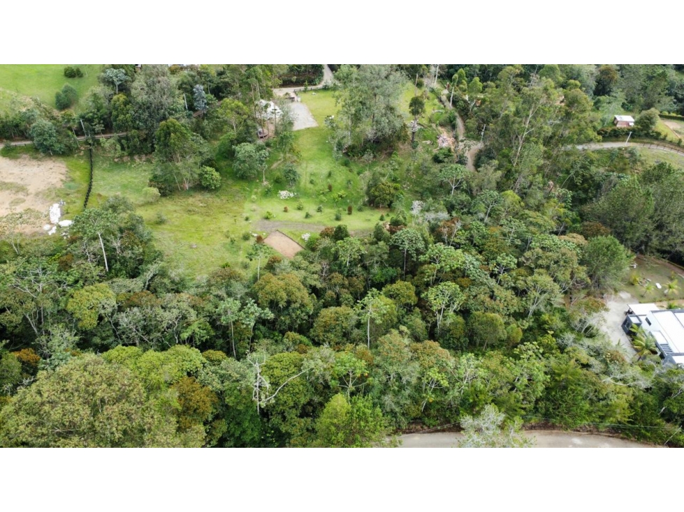 OPORTUNIDAD VENDO LOTE EN PARCELACION CON DOS MATRICULAS EN LA CEJA — foto 5