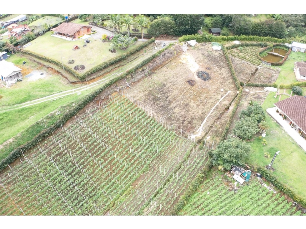VENDO LOTE SEMI PLANO A 7 MINUTOS DE LA CEJA- 750 MILLONES - 3