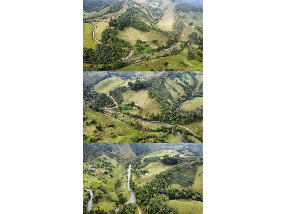 VENDO FINCA EN LA CEJA-TRAYECTO LA CEJA-ABEJORRAL — foto 6