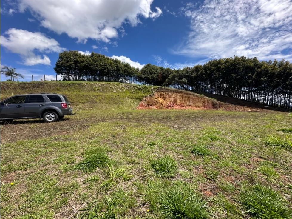 VENDO LOTE SECTOR CANADÁ VÍA LA CEJA- SAN ANTONIO DE PEREIRA. — foto 6